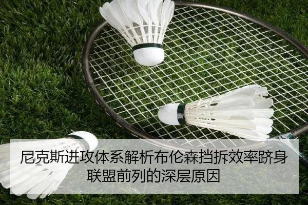 img_1783342287035_425_1_627.jpg
